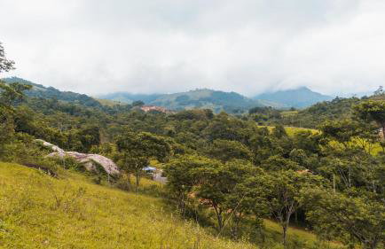 Ecocasa azul - Chalé na mata - Foto 46