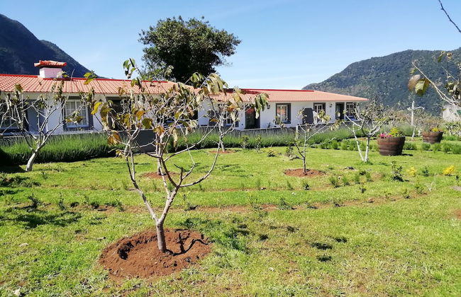 Grannys Farm - Foto 34