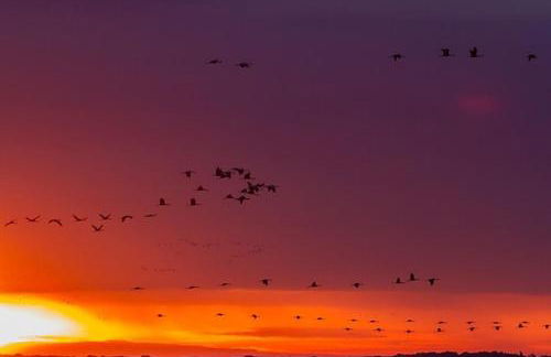 La Chambre à Four - Foto 8