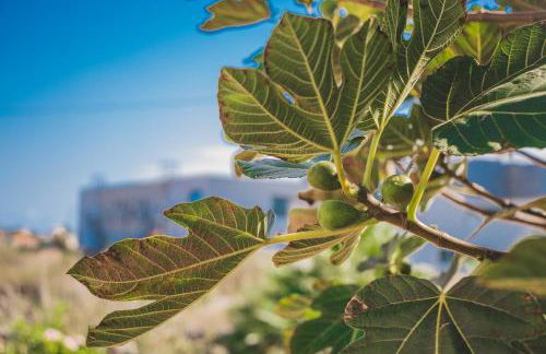 Slowing Villas - Villa Oceano - Foto 27