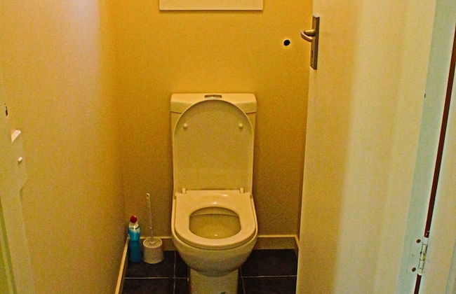 The Green Gecko - Foto 19