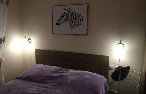 Prvinski Akvarel - Foto 11