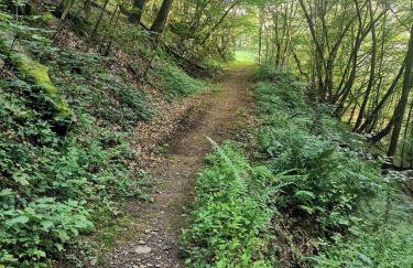 Ferienwohnung EG AusZeit - Foto 31