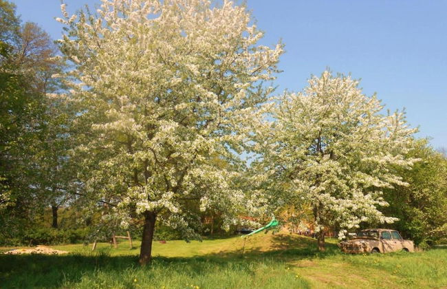 Waldblick Forest Retreat - Foto 24