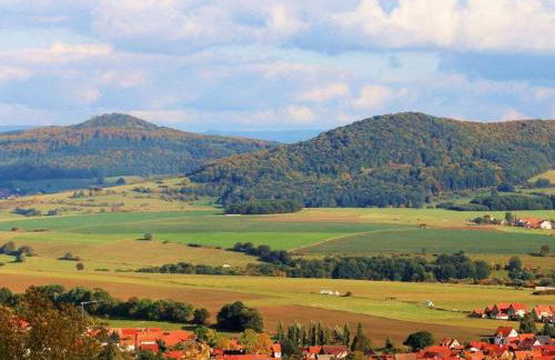 One-bedroom apartment - Foto 17