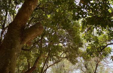 Caletta Apartments - Foto 30