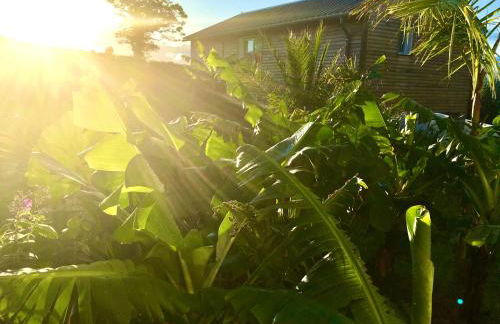 Azores Casa Atlantis - Photo 10