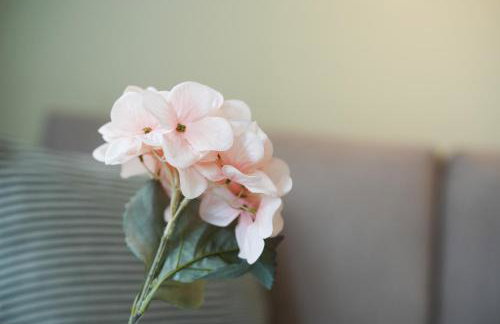 101-freiburg - Photo 23