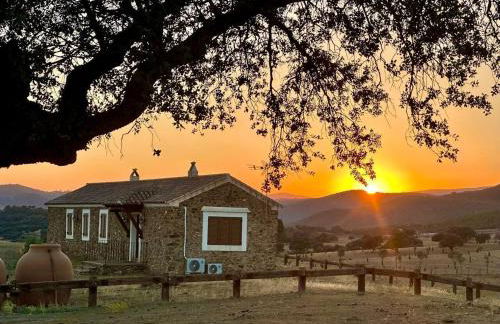 Finca La Alcolehuela - Foto 15