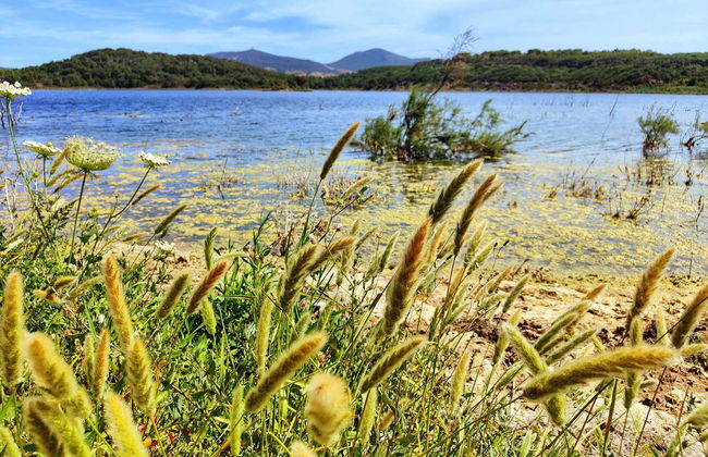 Balade en quad à Alghero - Photo 6