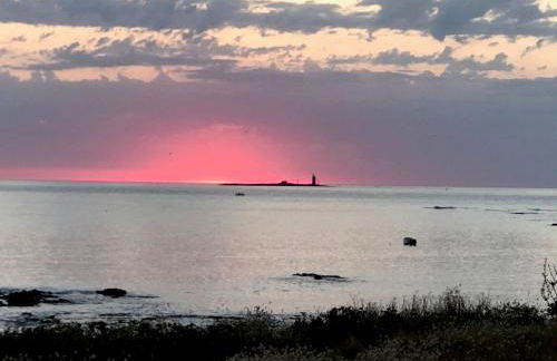 Studio rénové à deux pas de la plage des Lutins - Terrasse privée, parking et animaux acceptés - FR-1-426-515 - Foto 11