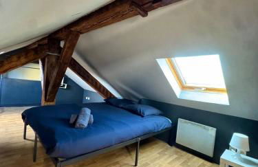 Cosy 4 - Montbéliard centre 80m2 - Foto 21