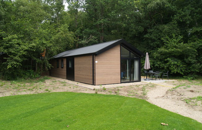 2 bedroom House in Ruinen with swimming pool and terrace - Photo 7