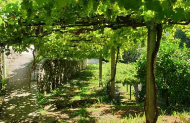 Quinta da Vinha Velha - Foto 60