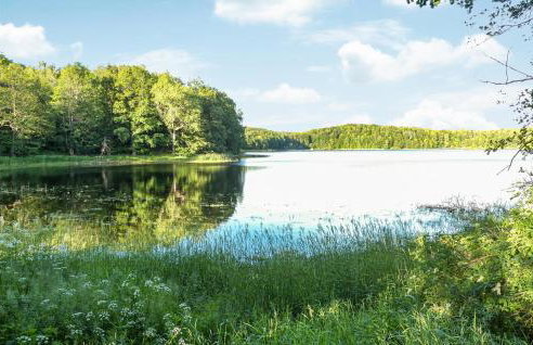 Amazing Home In Cybulin With Kitchen - Foto 15