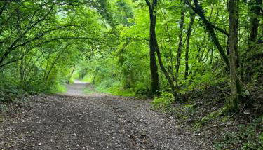 Kabin in the woods with Hot Tub - Foto 4