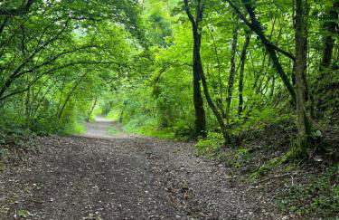 Kabin in the woods with Hot Tub - Foto 4