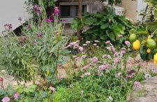 A modern farmhouse with big garden - Foto 25