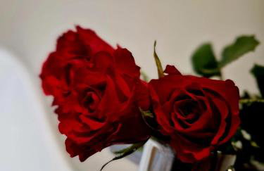 The Hamilton - The Studio luxury holiday let's - Foto 55