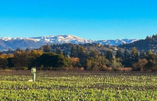 Magnolia Ranch Vineyards - Foto 22