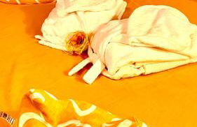 Dormi nella SPA privata con letto ad acqua, sauna, doccia emozionale e kneipp - Foto 13