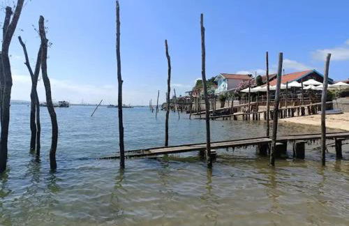 Appartement 2 chambres presqu'île du Cap-Ferret - Foto 1