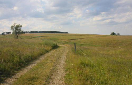 Harzhaus Drei Hexen - Foto 67