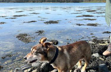 The Round House - Foto 16