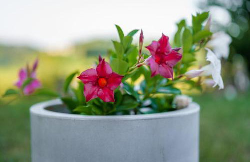 Kuća za odmor Šumska Vila - Foto 44