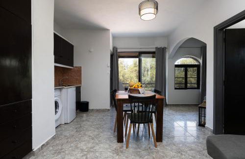 Pelekanos Beachfront Apartment - Foto 17