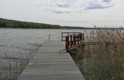 Apartment Karpfen by Interhome - Foto 19