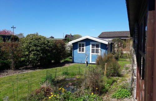 Büsumer blaue Krabbe - Foto 30