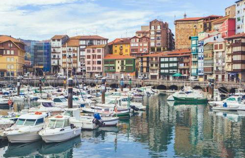 Apartamentos Arrigane nº licencia EBI01970 - Foto 24