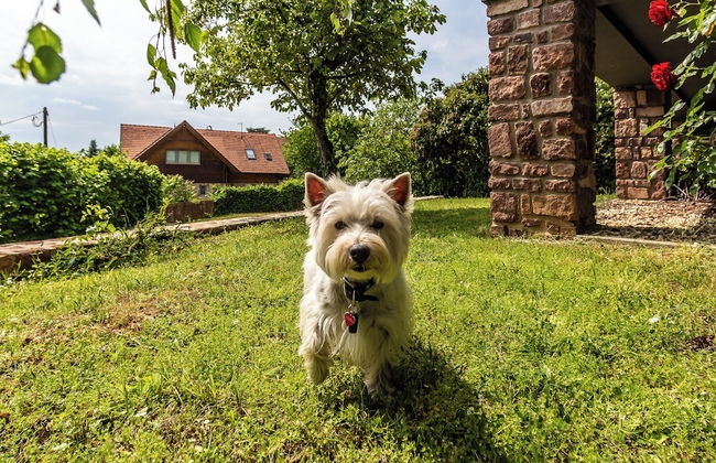 House With Panorama - Foto 30