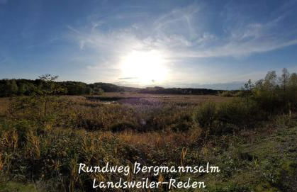 Apartment Naturblick Hollywood - Foto 31