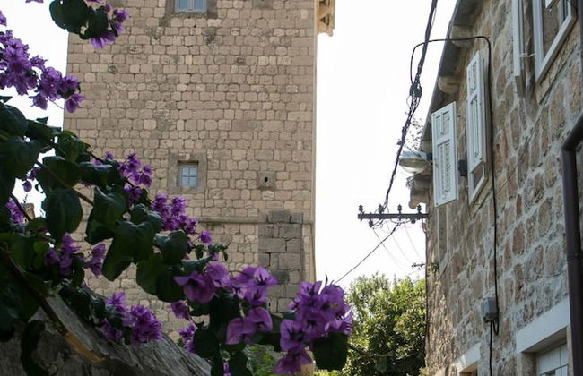 Coral House - Foto 19