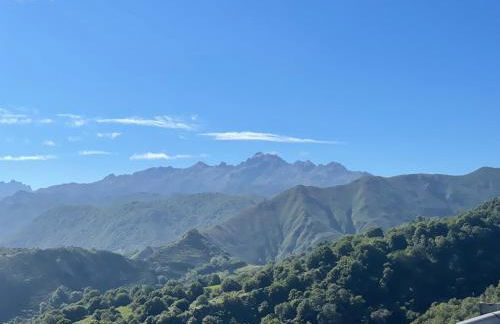 Vete Polo Segau, Seguencu - Foto 60