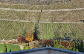 Historische Villa mit Drachenfels-Blick - Foto 13