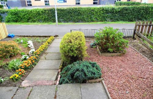 Black Cart House - Foto 3