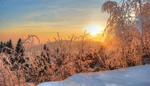 Freizeit- und Erlebnishof Schötz - Foto 2