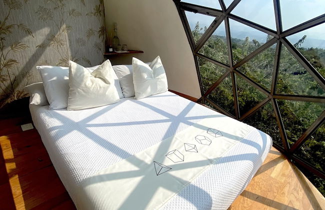 Bosque Geométrico - Foto 14