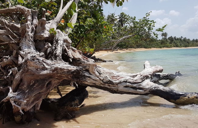 Las Terrenas Townhouse with Private Beach - Foto 7