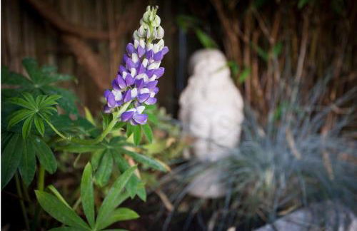 Walking distance to racecourse and city centre - Foto 12