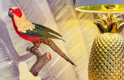 FeWoZauber - Dom Oase, Zentrum, Terrasse, Business, Familie, Haustiere - Foto 6