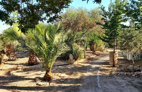 Relax y Descanso - Foto 49