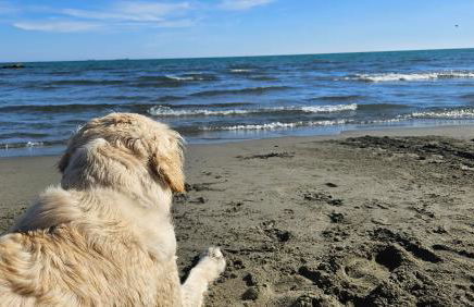 Violet Luni Home - Foto 1