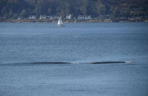 2 Bed in Cove 87473 - Foto 17