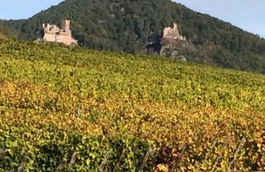 Huna’gîte - Foto 27