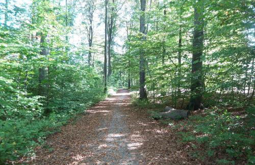 Ferienunterkunft Börner - Foto 25