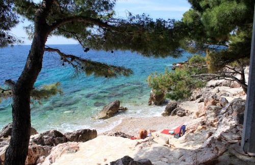 Apartments by the sea Ivan Dolac - Hvar - 21269 - Foto 3